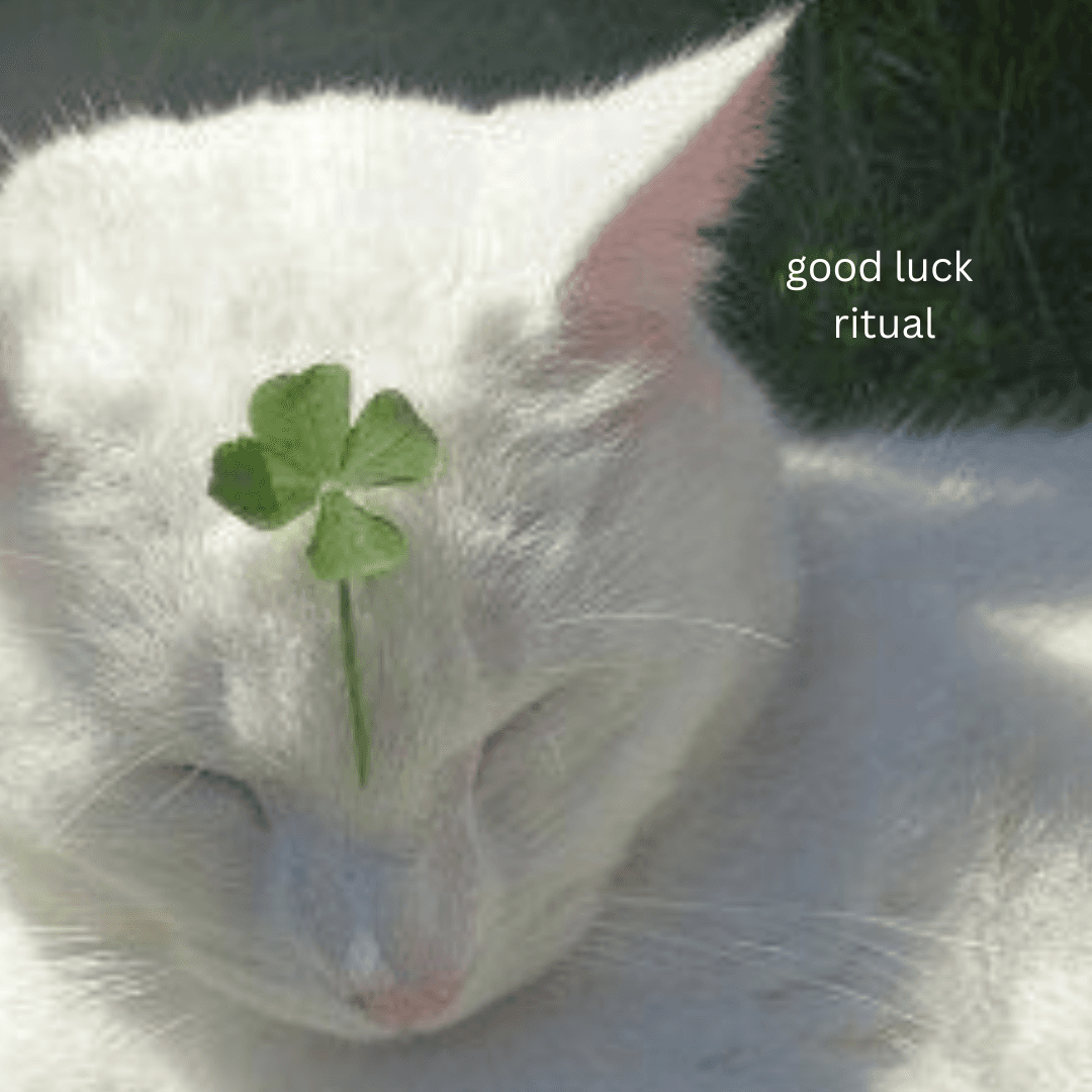Good Luck Ritual